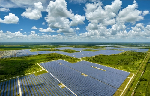 충청남도 당진시 대호지면 사성리에서 추진 중인 50MW 규모 염해 농지 태양광 발전 개발사업지 전경.[이도]