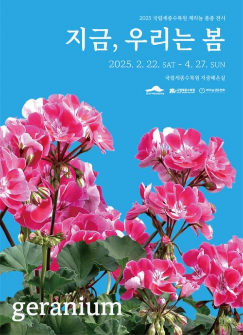 2월 22일부터 4월 27일까지 국립세종수목원 지중해온실에서 개최하는 제라늄 전시 '지금, 우리는 봄'