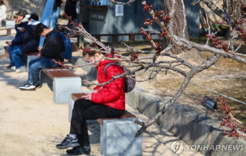 서울 한낮 기온이 10도까지 오르며 따뜻한 날씨를 보인 6일 서울 종로구 창덕궁에서 시민들이 꽃봉오리가 맺힌 매화나무 아래서 쉬고 있다.