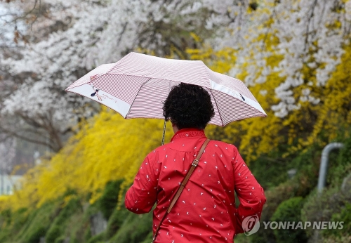 봄비 내리는 서울