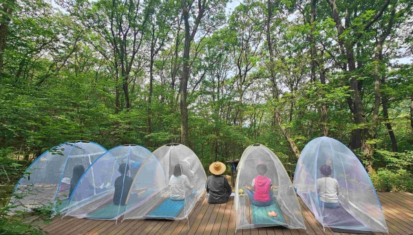 성남시 산림복지 프로그램 운영(산림 치유)