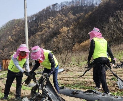 이재홍 NH농협은행 준법감시인과 임직원들이 경상북도 안동시 남선면 신흥리의 산불피해 농가에서 피해복구를 위한 일손을 보태며 구슬땀을 흘리고 있다. [사진=농협은행]