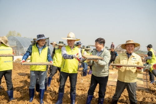이재호 부사장(왼쪽에서 첫 번째), 이찬우 회장(왼쪽에서 두 번째), 홍성규 신도농협 조합장(왼쪽에서 세 번째), 장순복 지도농협 조합장(왼쪽에서 네 번째)이 모판 나르기를 하고 있다. [사진=농협금융지주]