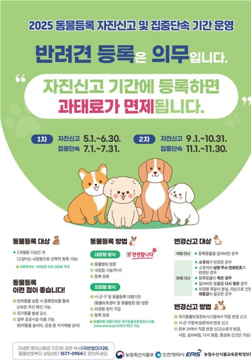 (사진제공=인천시)