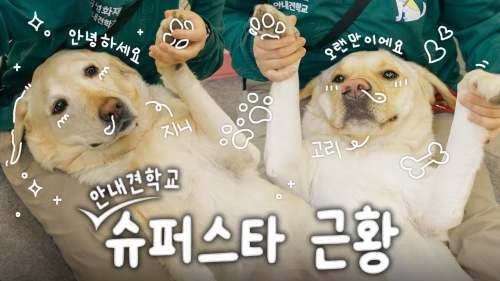 삼성화재 유튜브,  다양한 고객 커뮤니케이션으로 지속 성장