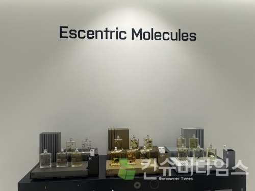 [사진=김유영 기자]
