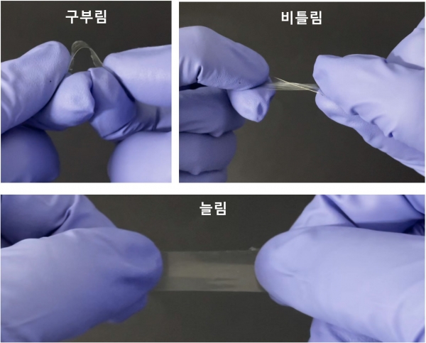 공동연구팀이 개발한 고무처럼 늘어나면서 반응물질을 가지고 있는 기능성 고체 전해질.