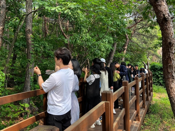 지난 5월 31일 국립대전숲체원에서 임신부부가 숲태교 프로그램에 참여하고 있다. (사진제공=한국산림복지진흥원 국립대전숲체원)