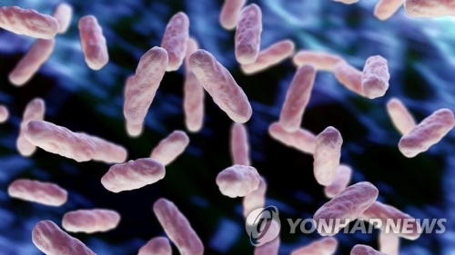 치사율 14% 'A군 연쇄상구균' 국내 상륙…감염 공포↑