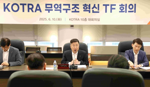 KOTRA는 수출 1조 달러 시대 준비를 위한 '무역구조 혁신 TF'를 발족하고 10일 첫 전체회의를 개최했다. 강경성 KOTRA 사장(가운데)이 'KOTRA 무역구조 혁신 TF 회의'에서 발언하고 있다.