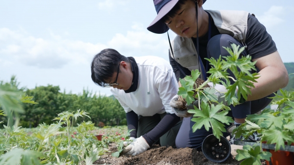 (사진제공=한국수목원정원관리원)