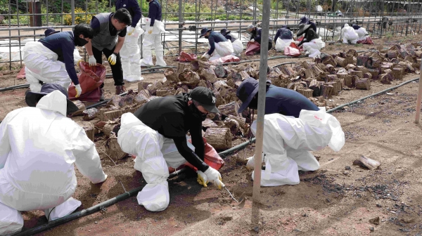 한국수목원정원관리원(이사장 심상택)은 6월 19일 경상북도 의성군 단촌면 일원에서 임직원 50여 명이 참석한 가운데 산불피해 복구를 위한 자원봉사 활동을 펼쳤다.