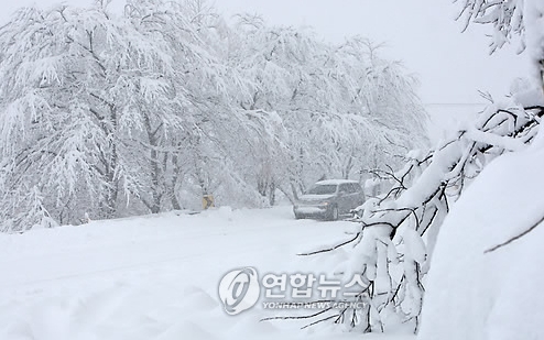 11일 폭설이 내린 강원 강릉시 옛 영동고속도로 대관령 구간이 차량운행이 뚝 끊겨 적막한 모습이다